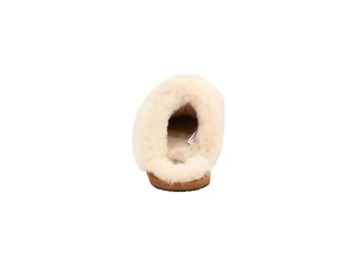 Women's UGG Scuffette in Chestnut